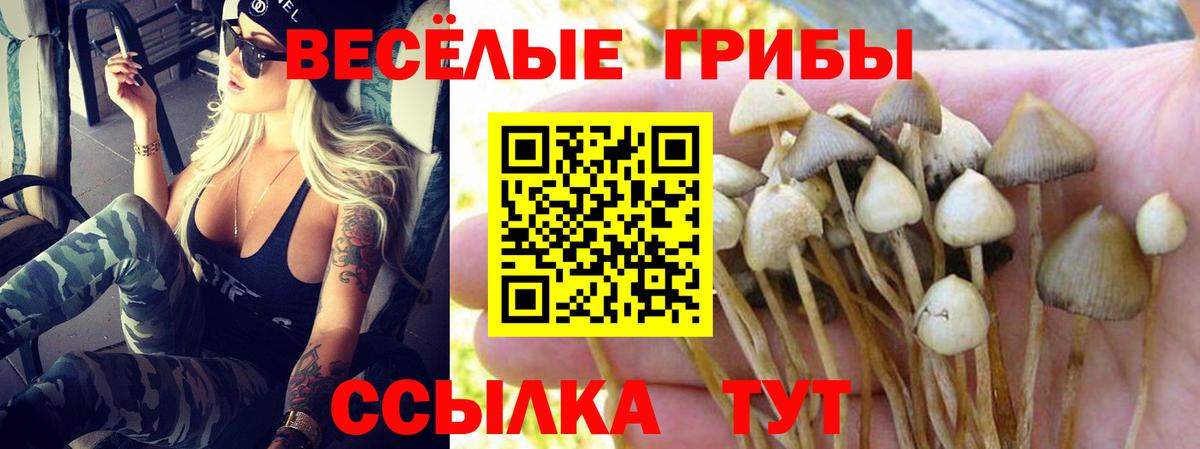Галлюциногенные грибы мицелий  Псилоцибиновые грибы GOLDEN TEACHER  купить  цена  Вход с VPN  Чусовой 