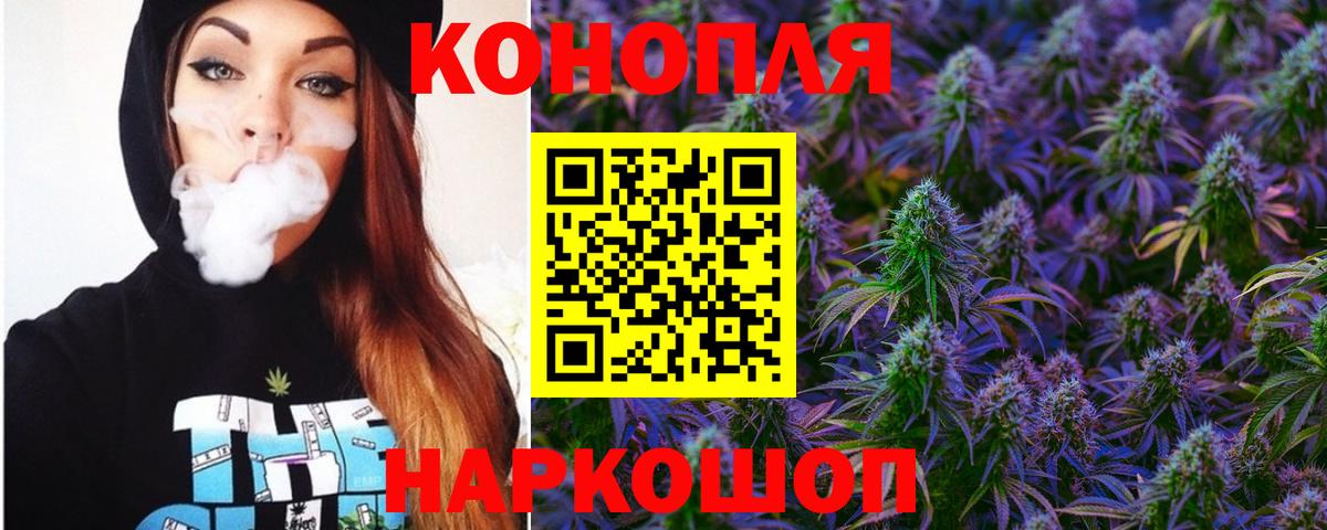 Канабис сатива Чусовой